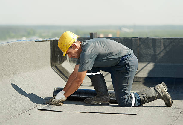 Best Home Insulation Services  in Reston, VA