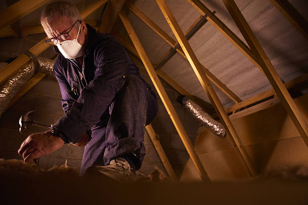 Best Insulation for Commercial Buildings  in Reston, VA