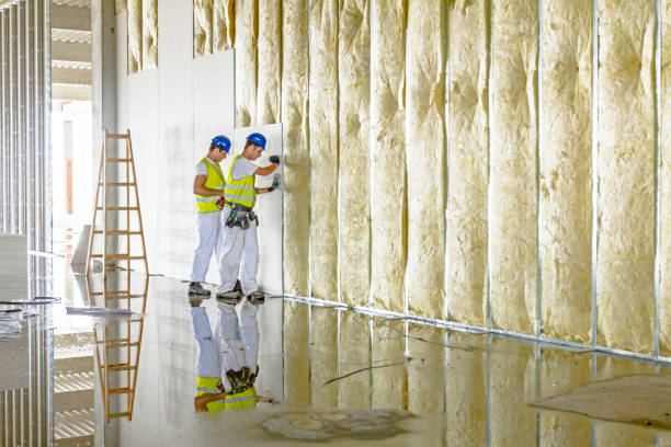 Best Insulation Replacement Services  in Reston, VA
